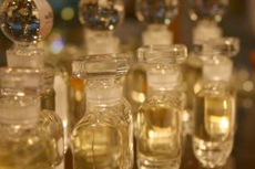 Monaco (Monte Carlo) Grasse Perfume Factory cruise excursion